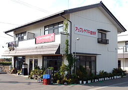 アップルヤマキ店舗 